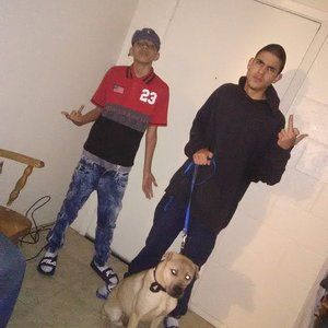 Meet your Posher, Mikey